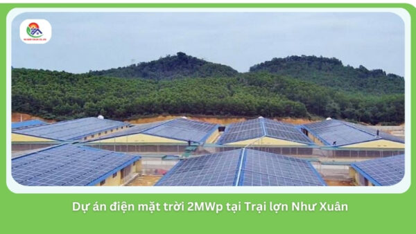 Dự Án Điện Mặt Trời 2MWp tại Trại Lợn Như Xuân, Thanh Hóa: