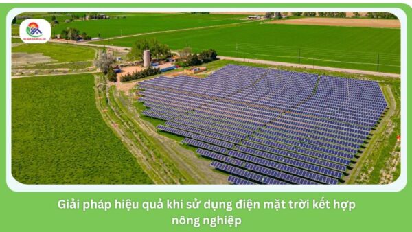 Mô hình điện mặt trời kết hợp nông nghiệp được ứng dụng rộng rãi