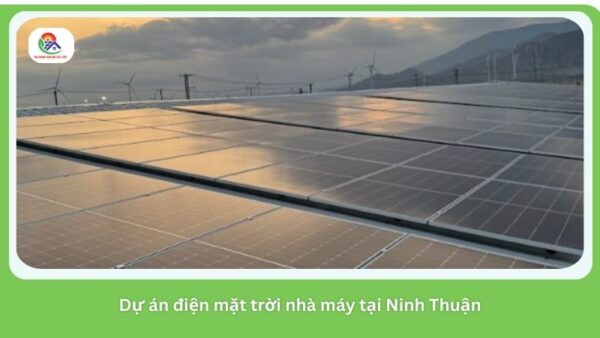 Dự án điện mặt trời nhà máy tại Ninh Thuận