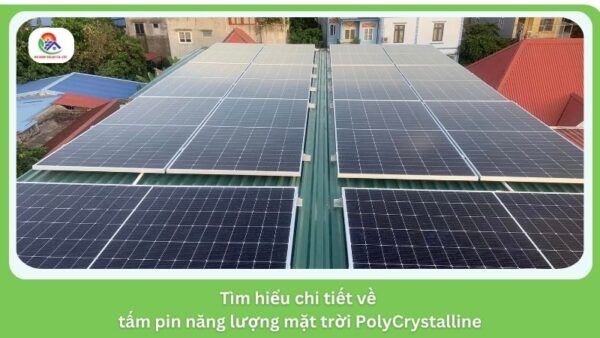 Tìm hiểu thông tin về pin mặt trời PolyCrystalline