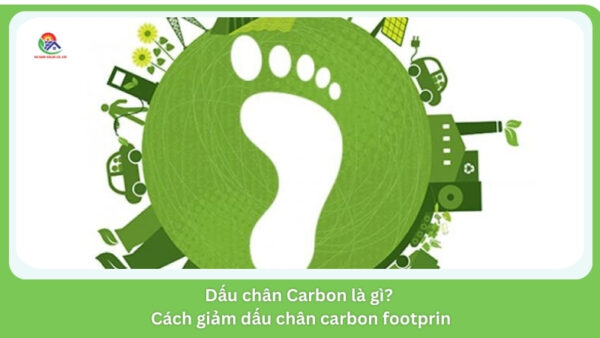 Dấu chân Carbon là gì? Cách giảm dấu chân carbon footprin