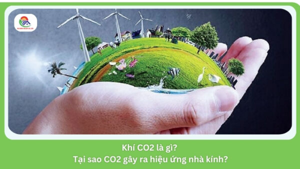 Khí CO2 là gì? Tại sao CO2 gây ra hiệu ứng nhà kính?