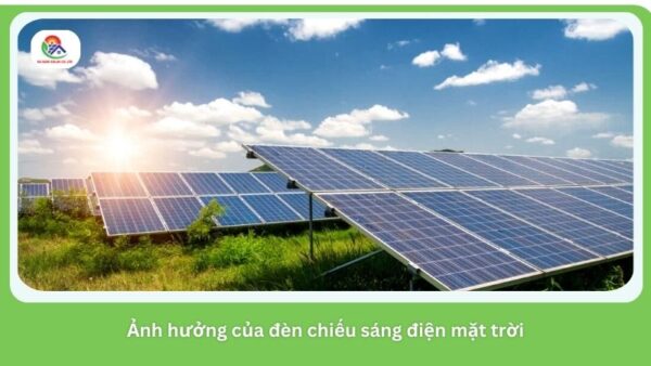 anh-huong-cua-den-chieu-sang-dien-mat-troi (5)