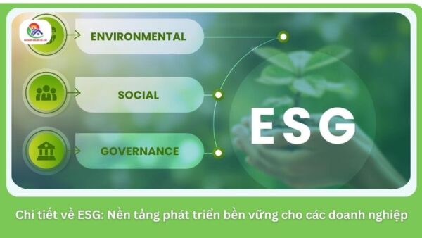 chi-tiet-ve-esg