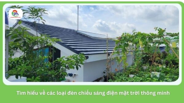 den-chieu-sang-dien-mat-troi-thong-minh (1)