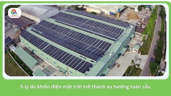 dien-mat-troi-tro-thanh-xu-huong-toan-cau (4)