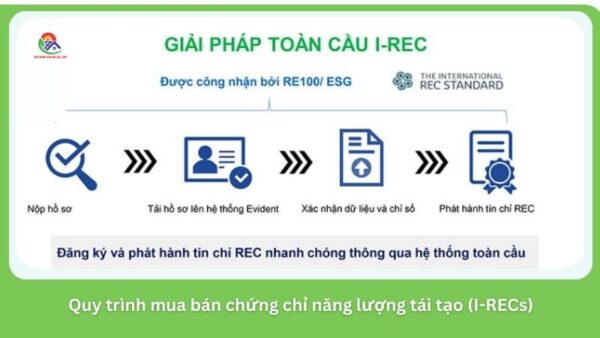 mua-ban-chung-chi-i-recs