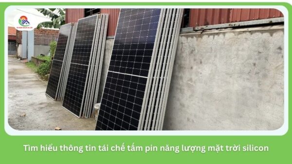 tai-che-tam-pin-nang-luong-mat-troi-4